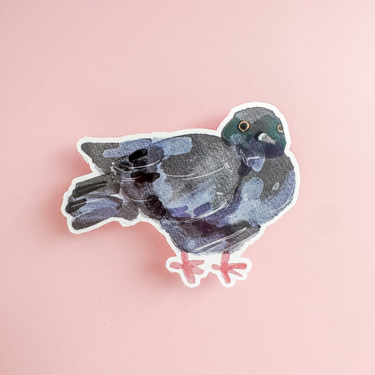 Pigeon Vinyl Sticker